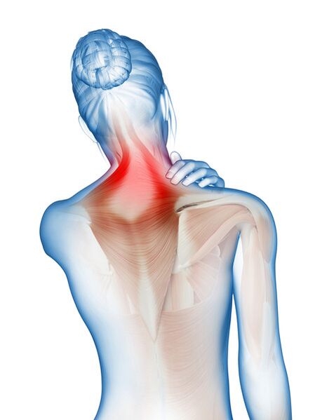 Inflamación y dolor en músculos y articulaciones razones para usar Motion Energy